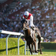 Image for article titled Horse Owner Accused of Racism After Naming Racehorse 'Jungle Bunny'